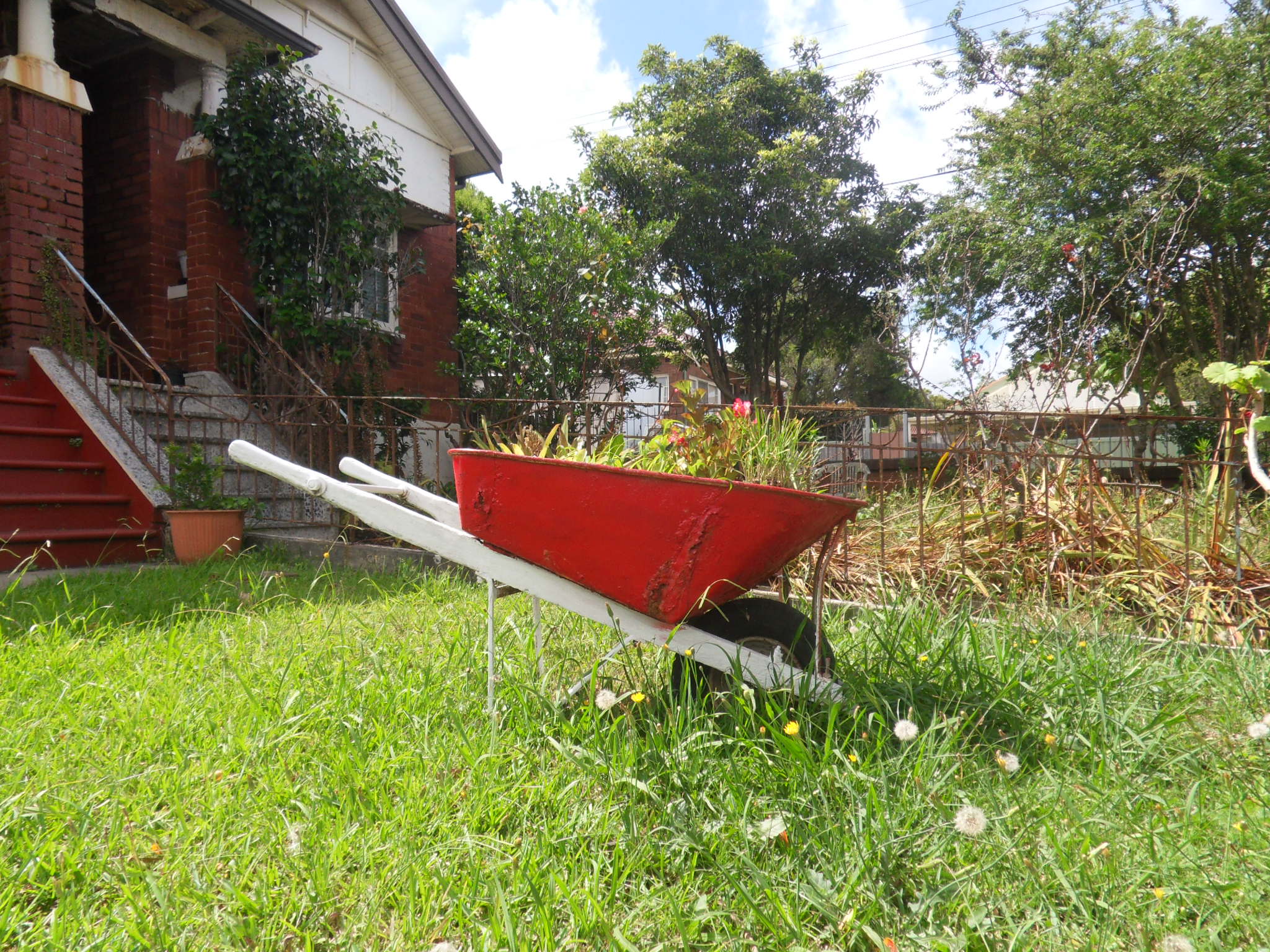 Wheelbarrow